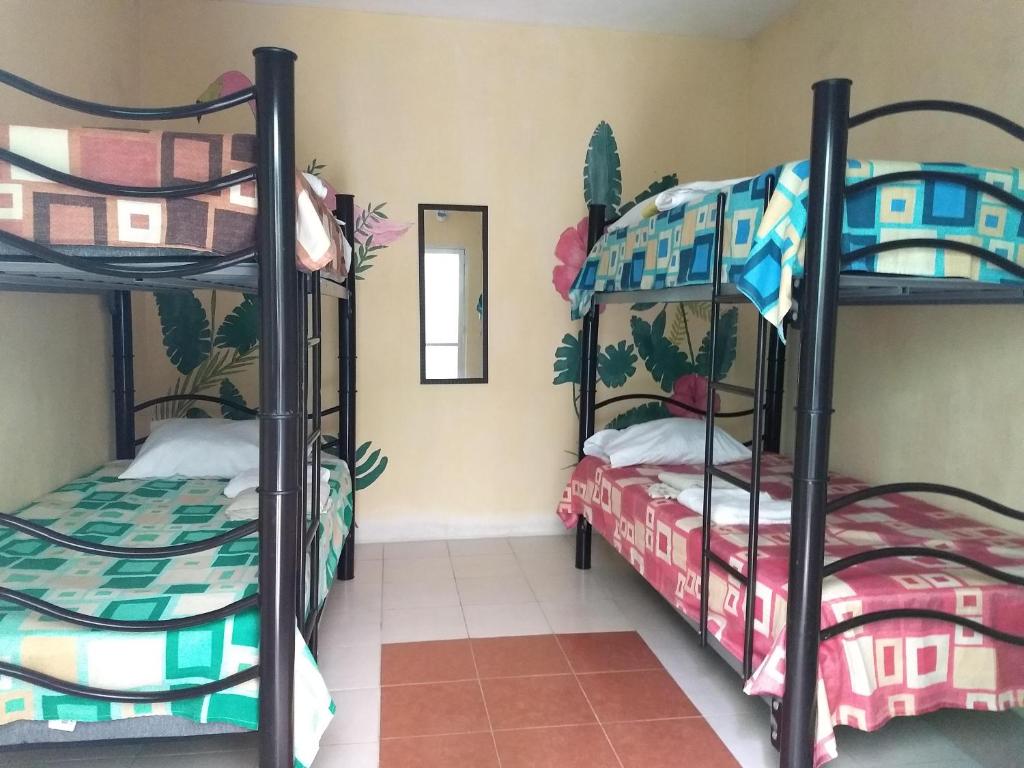 Hostel Áabilo'ob photo 2