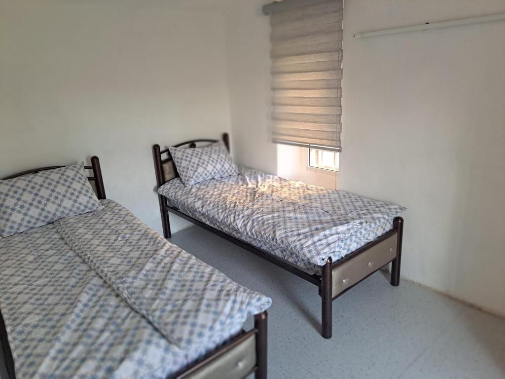 The Lemon Homes photo 3