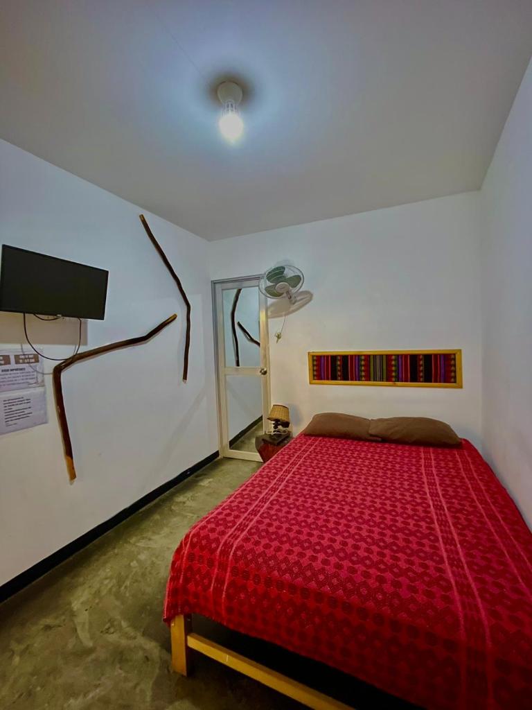 Rochabus photo 1