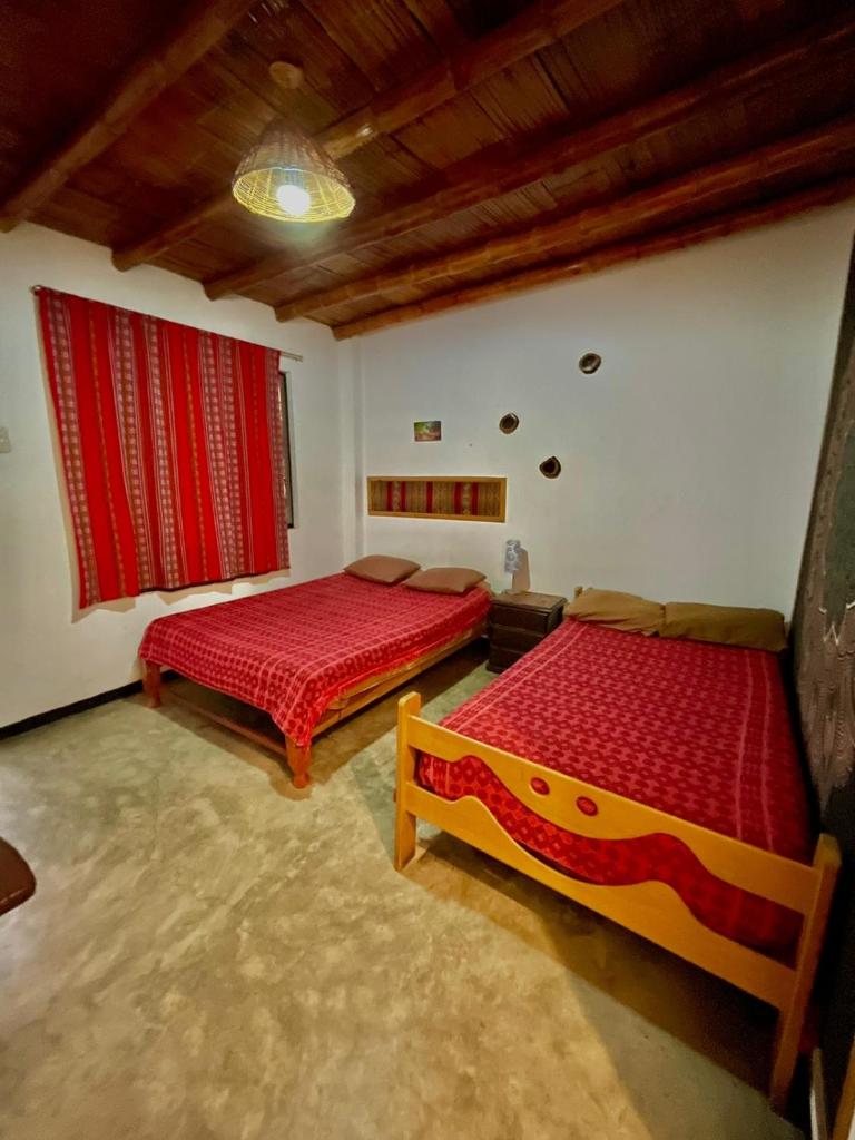 Rochabus photo 2