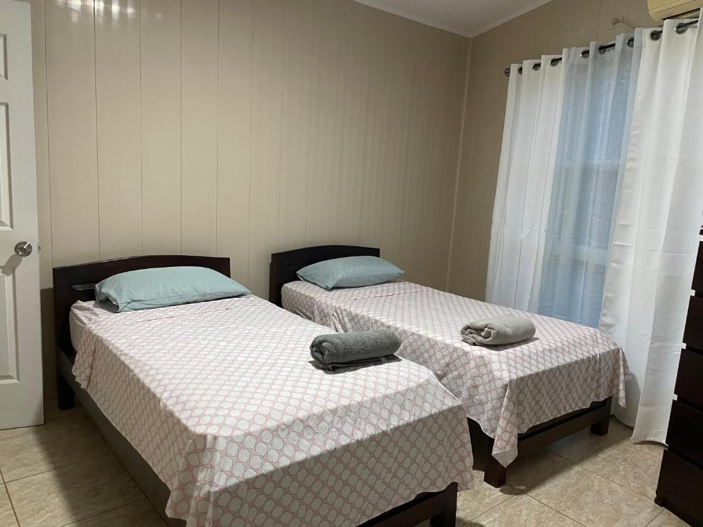Casa Armadillo photo 3