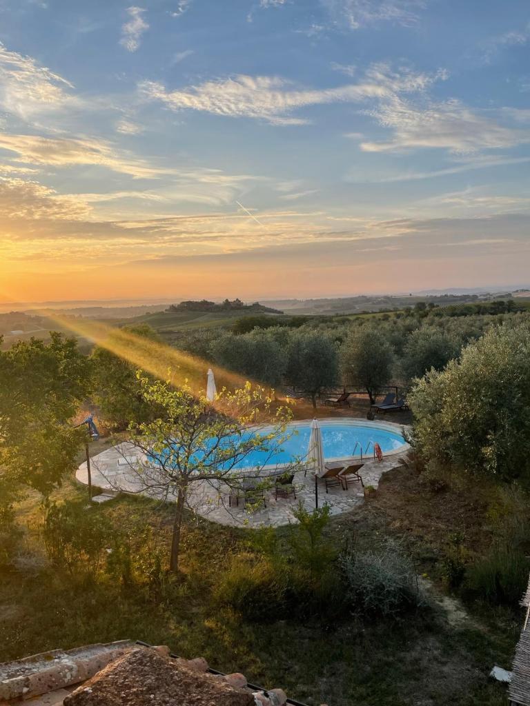 La Falconara photo 4