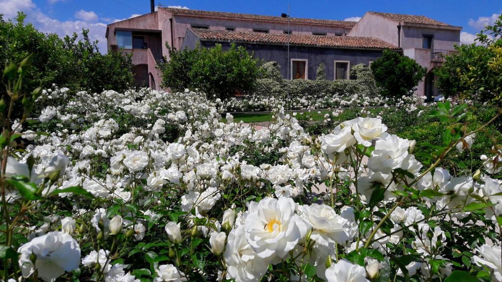 Ramo d'Aria Etna Boutique Hotel photo 1