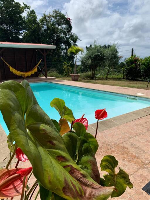 Casa fall Villa 4 ch piscine photo 1