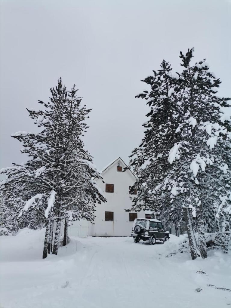 MAJA - kuća za odmor, 150m od skijališta