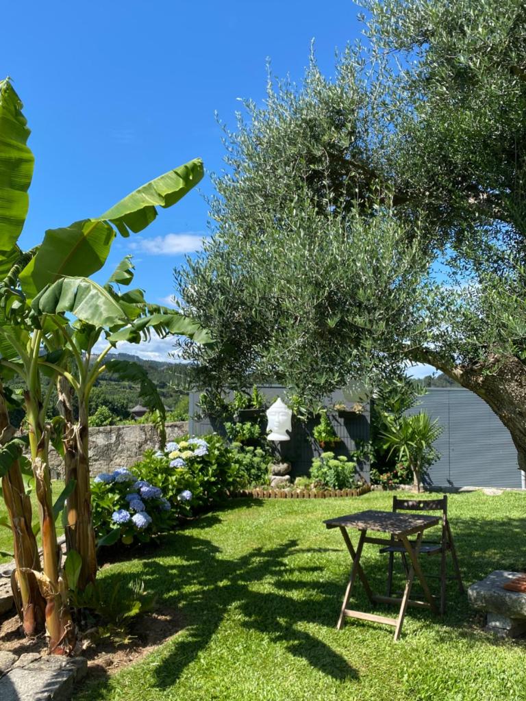 Casa D' Almeidas photo 4