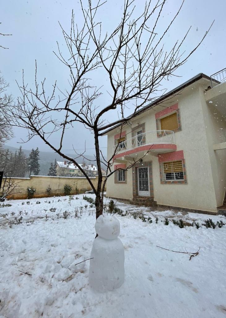 Villa ain soltan