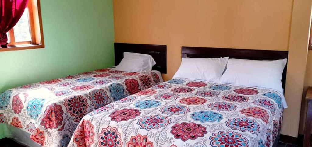 Hotel posada don pedro photo 3
