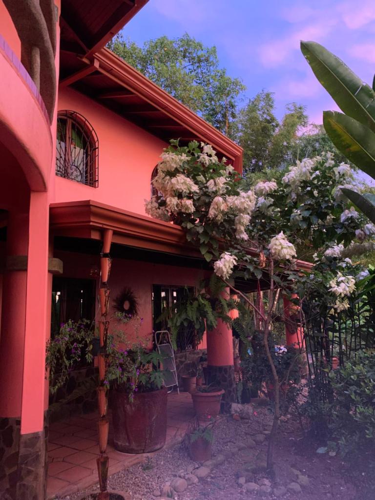 Casa Papaya photo 1
