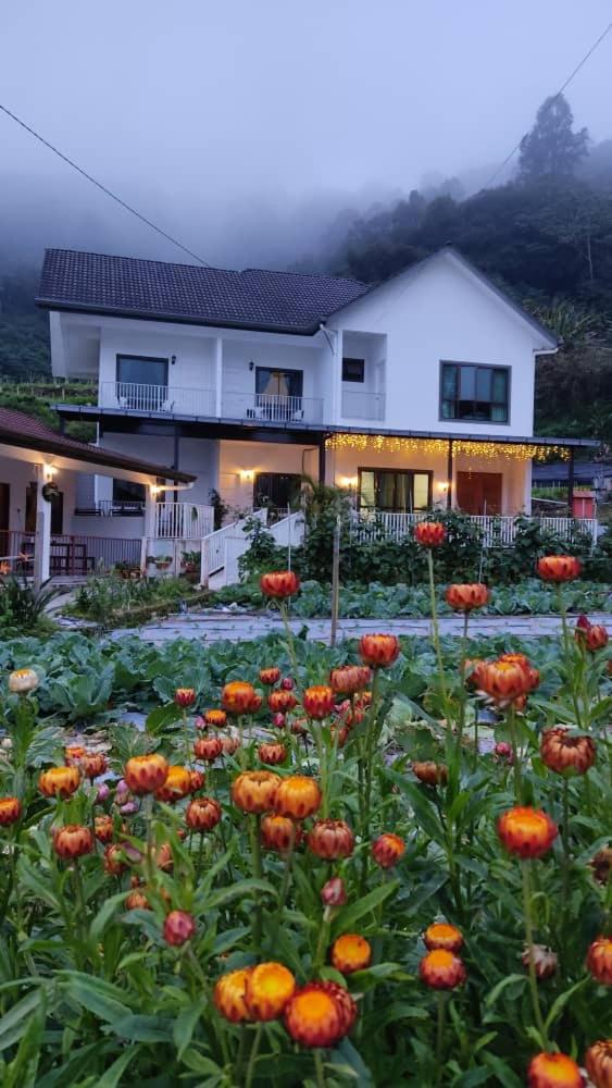 Ng Family’s Farm Stay photo 1
