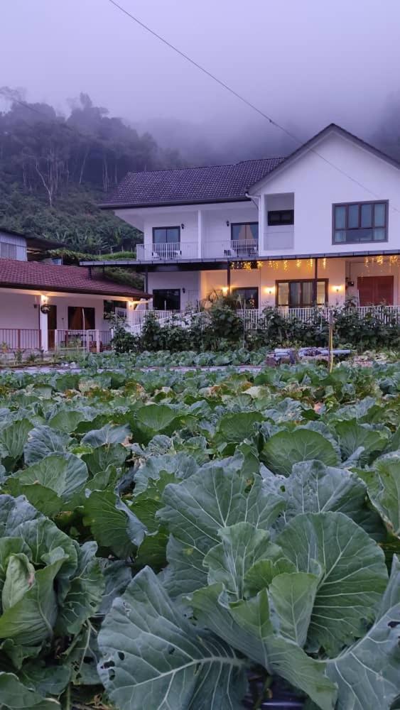 Ng Family’s Farm Stay photo 2