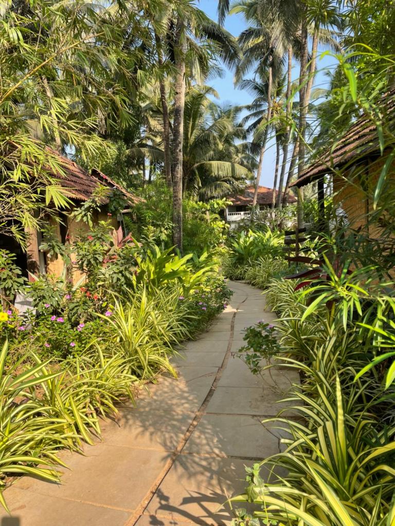 The Village Anjuna photo 1