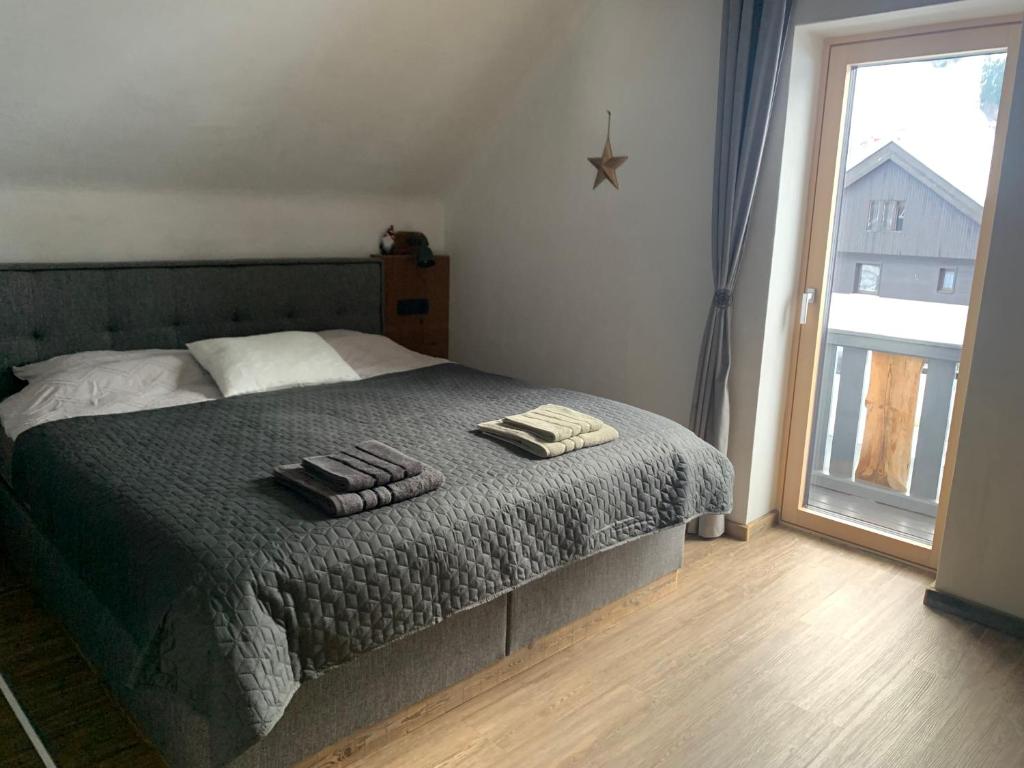 Hiša Pod gorami II****-house with wellness photo 3