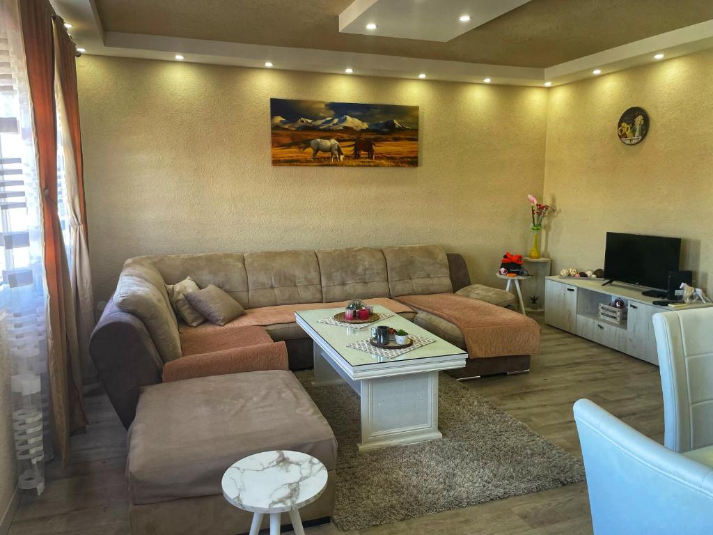 Apartment Alexandar photo 1