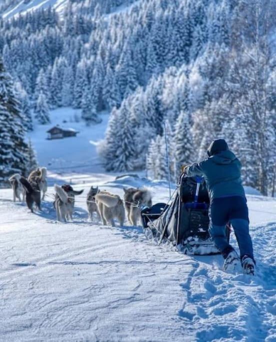 Chalet de L'Ours Blanc photo 1