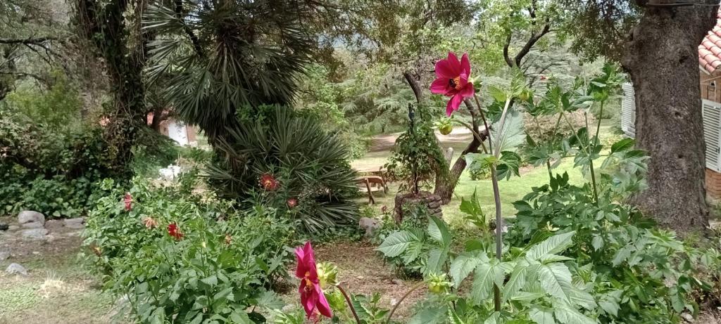 Faraway's Bed & Breakfast photo 3