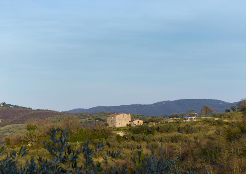 Podere Paradiso photo 3
