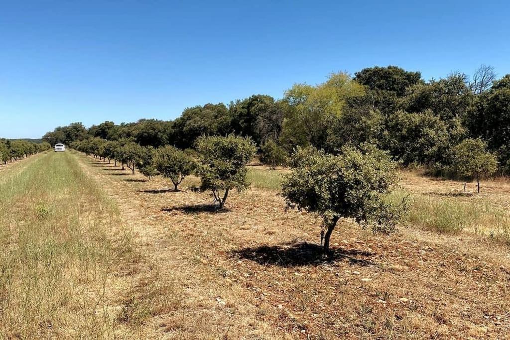 LA TRUFFIERE DE SEGURET - Tap to explore photos