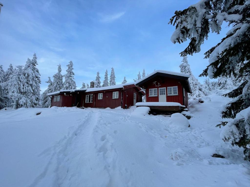 Buhaug - cabin at Sjusjøen photo 2
