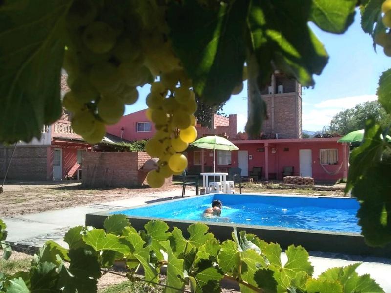 HOTEL FINCA AMANCAY photo 4