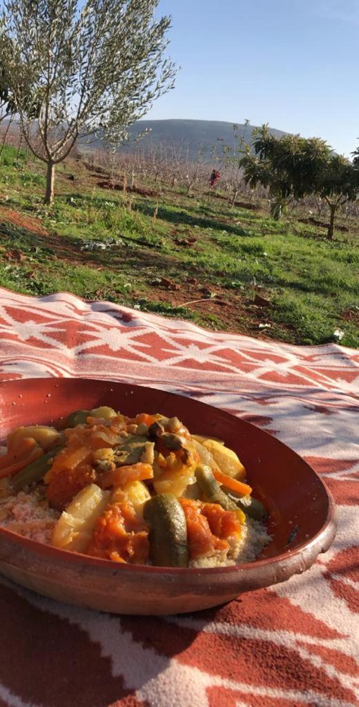 Ferme Al Barakah photo 4
