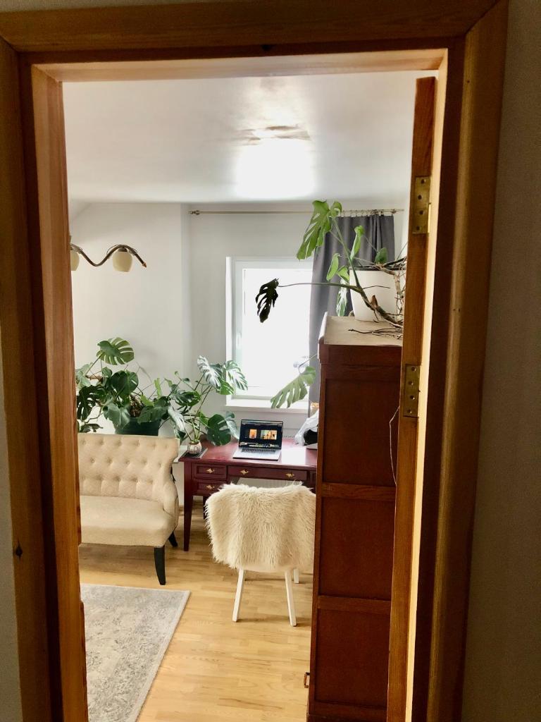 Cozy house with spacious backyard photo 3