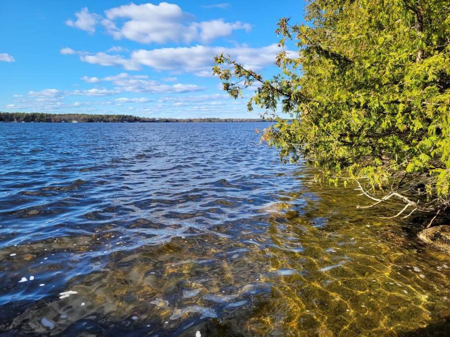 Rustic Pines Waterfront Cottage *CLEAR WATER* photo 3