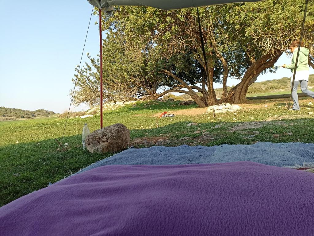 אהבתה גלמפינג של אהבה בעמק האלה photo 3