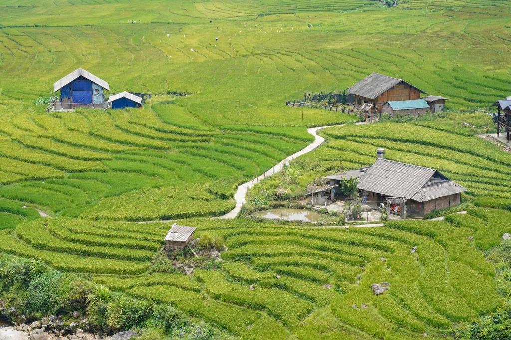 Sapa Fantasea Homestay