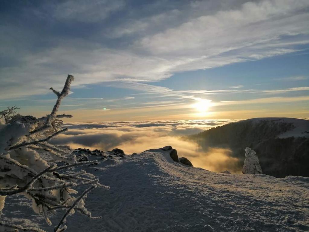 chamois d'or idéal 2 familles, amis 9 personnes proche de Gérardmer photo 1