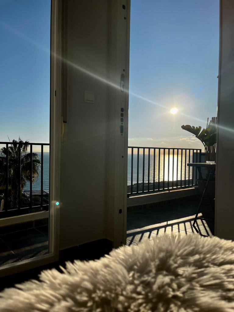 Sunshine loft photo 4
