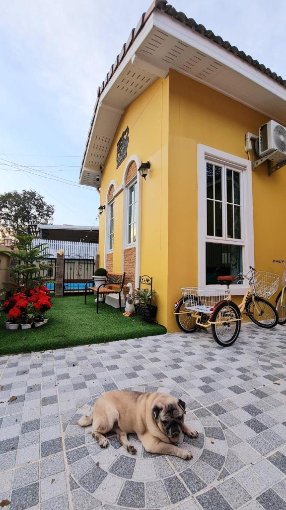บ้านสามหมา pool villa เขาใหญ่ photo 2