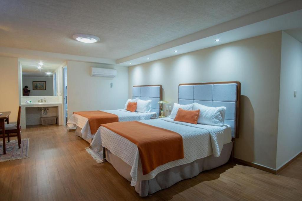 Hotel del Parque photo 3