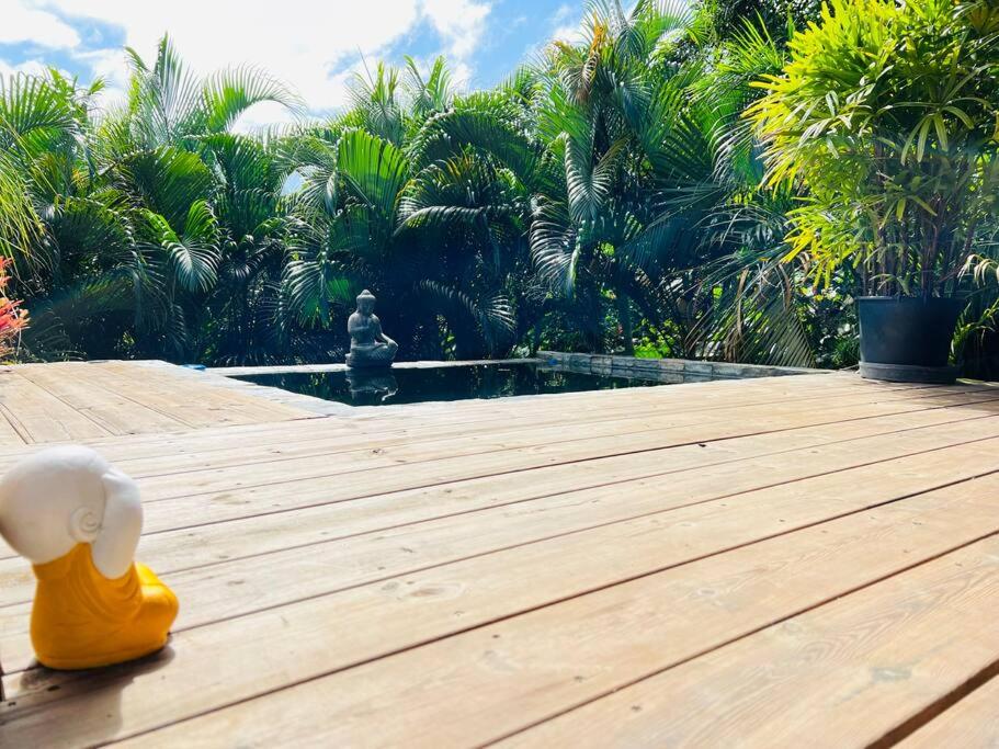 Ô Palm : dans un petit écrin de verdure photo 1