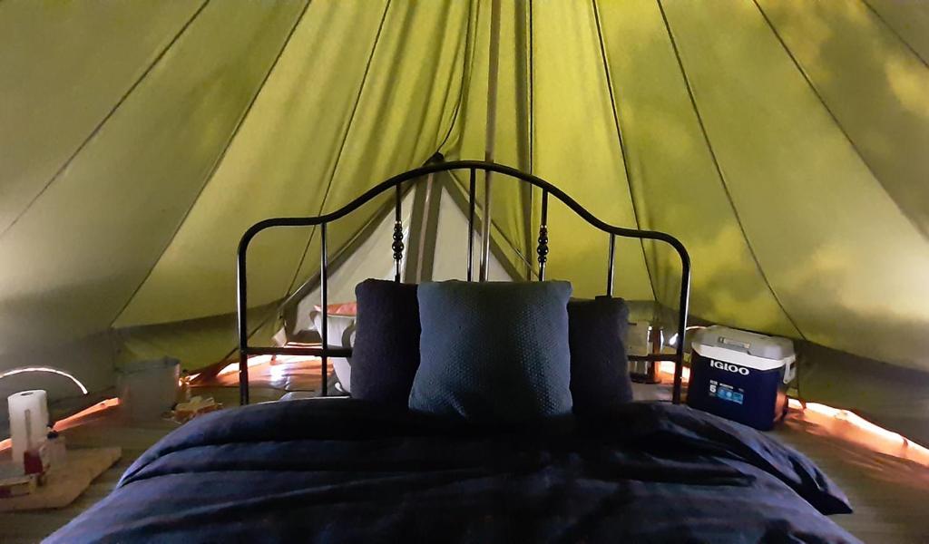 Elevated Experience Camping Inc. Willey West