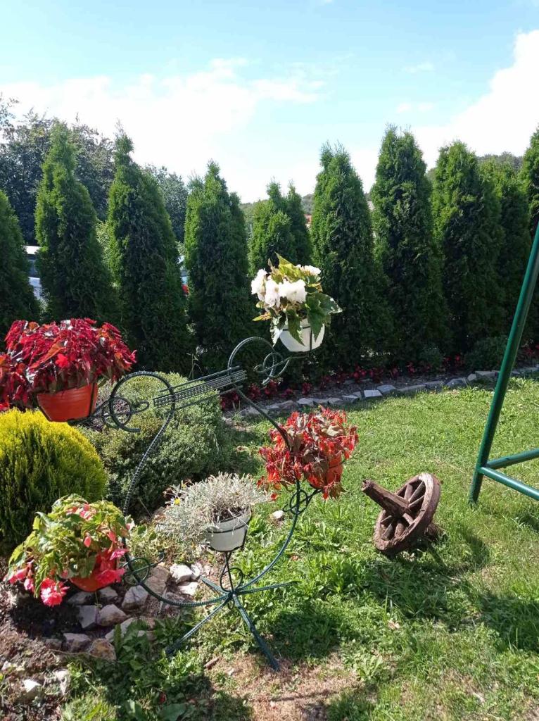 Njih tri apartmani photo 3