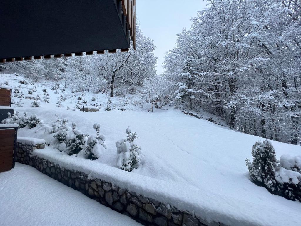 Mavrovo ski apartment photo 1
