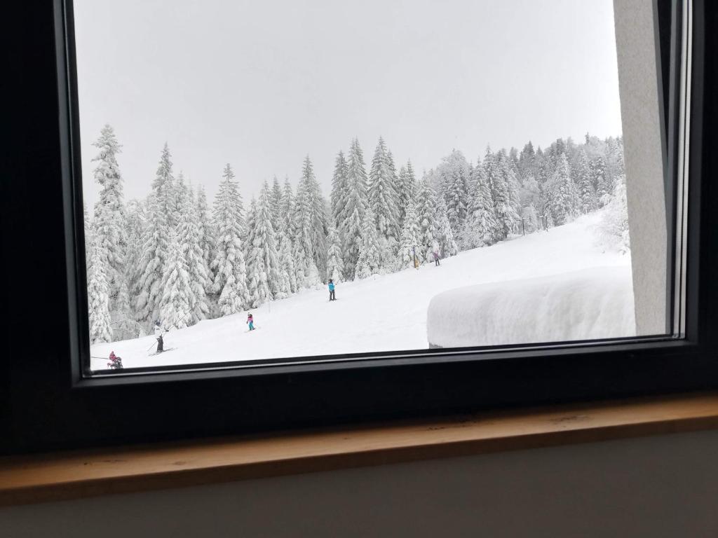 Cozy Ski Apartment Jahorina photo 2