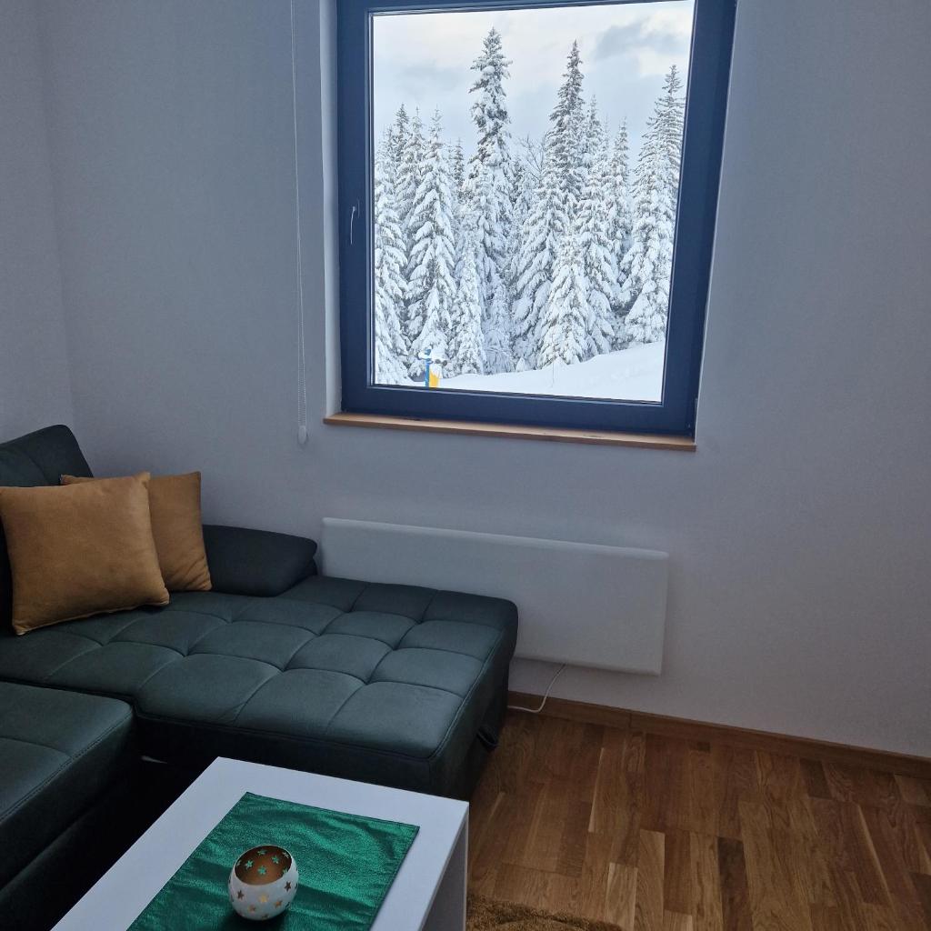 Cozy Ski Apartment Jahorina photo 4