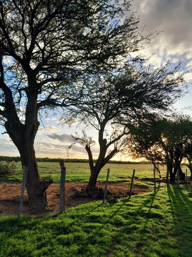 Estancia San Carlos photo 4