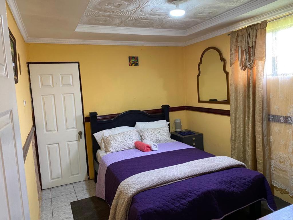 Casa Lupita Alajuela photo 1