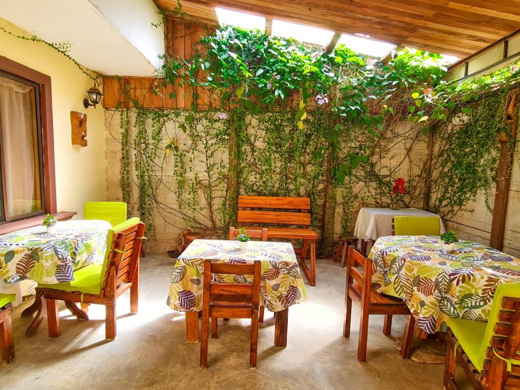 Cabinas Coco Alegre photo 1