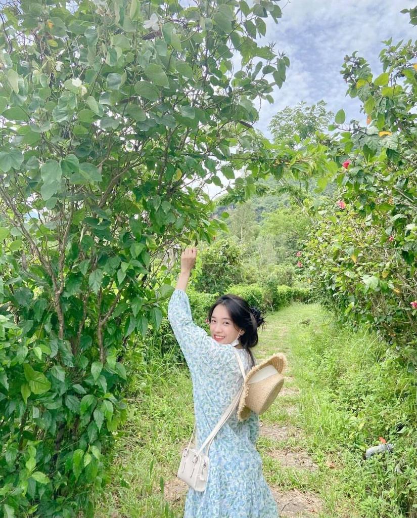 Nhà Nghỉ Hồng Nhung