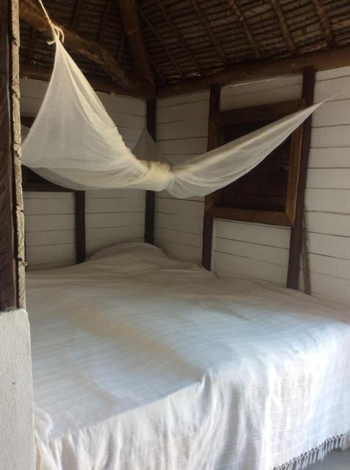 Beach front Cottage photo 4