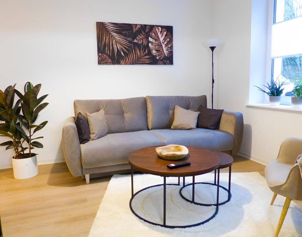 Modernes Apartment mit Queensize-Bett, NETFLIX, Küche, Erdgeschoss, Nähe AMEOS Klinik
