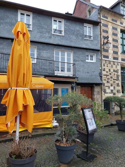 Un Brin de folie dans le centre de Honfleur photo 2