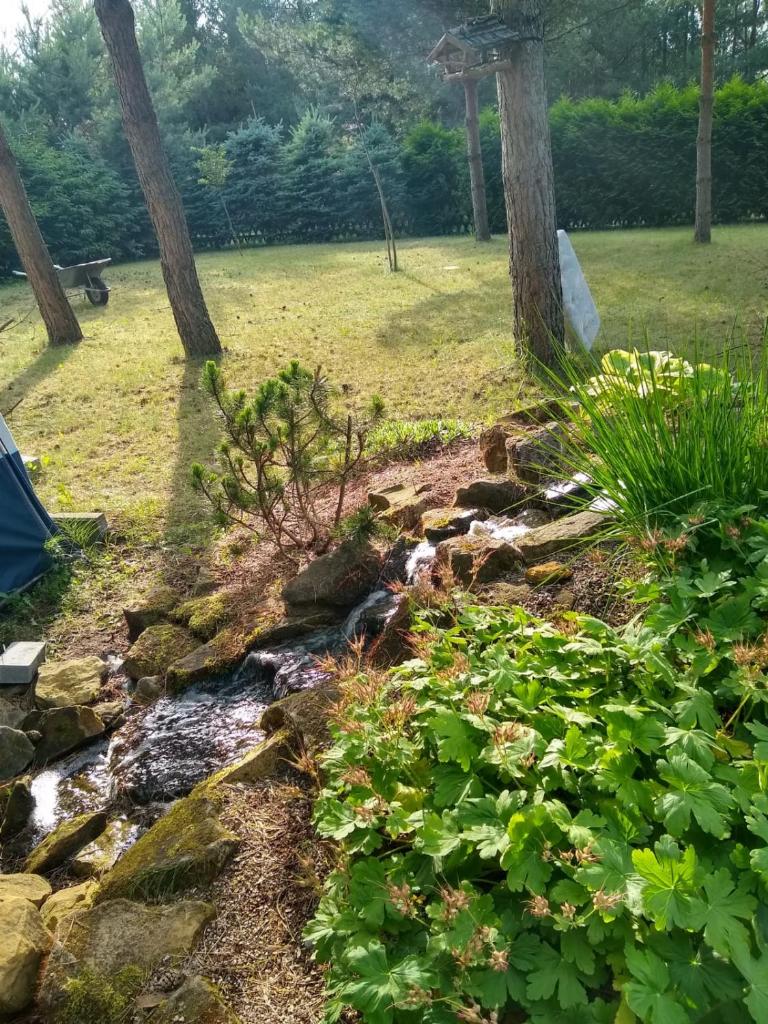Między Sosnami photo 3