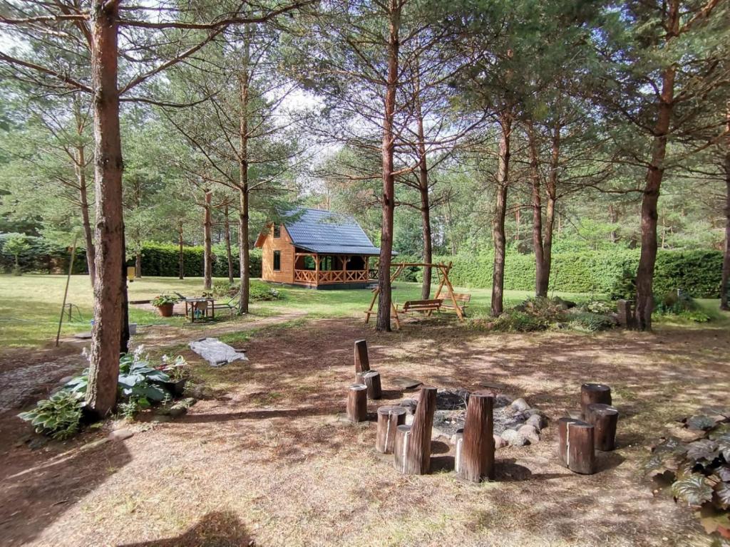Między Sosnami photo 2