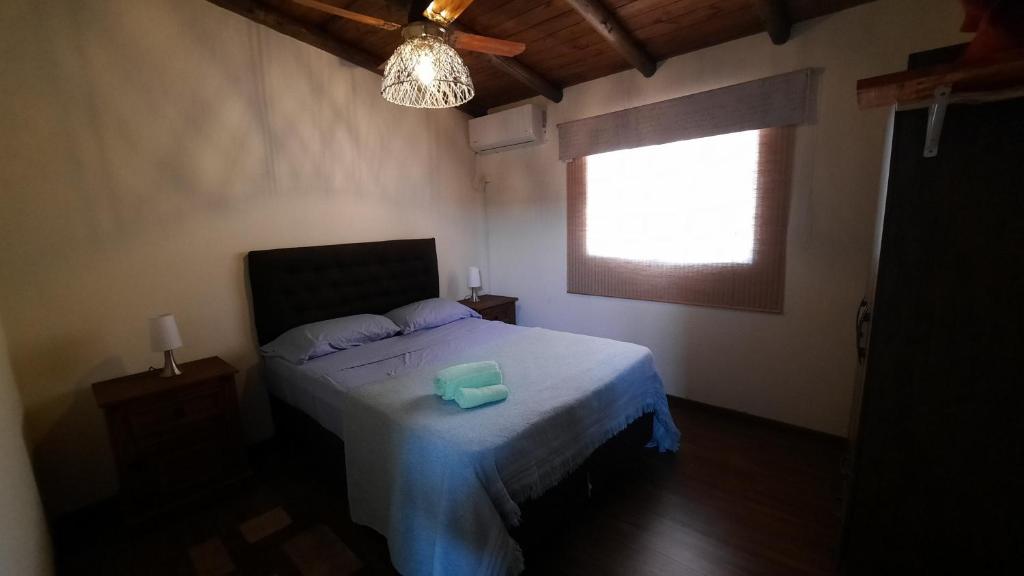 El zorzal photo 3