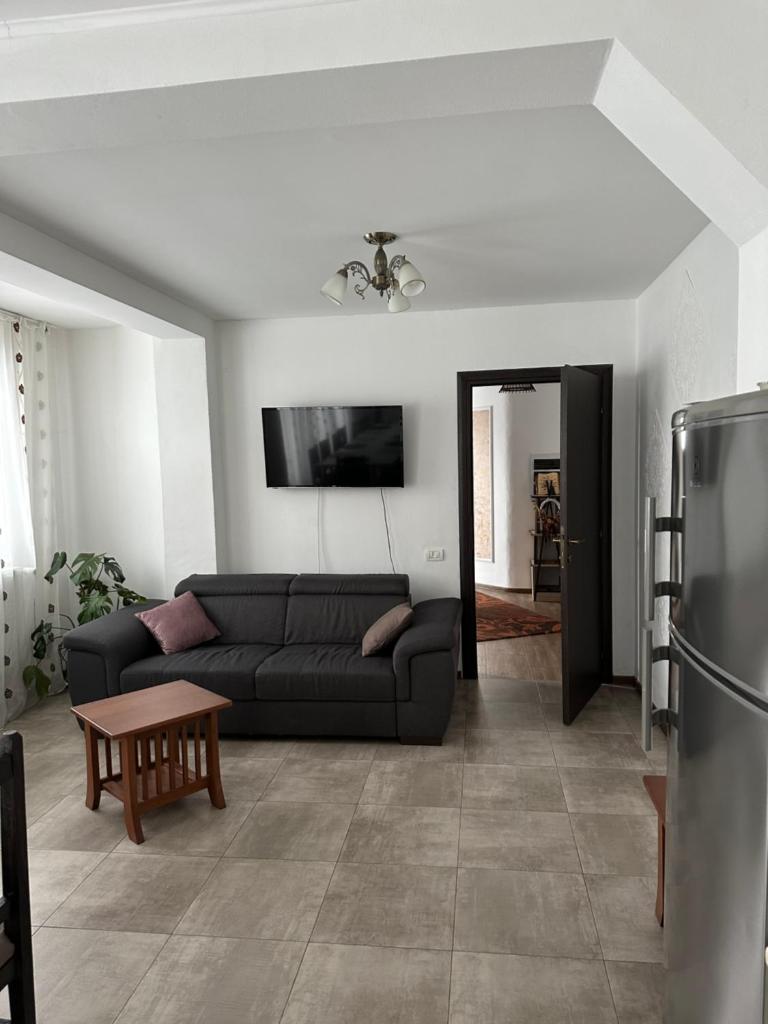 Vila Sorina photo 4